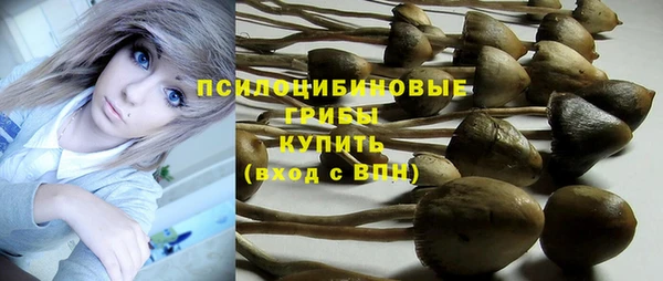 МДПВ Абаза
