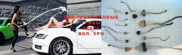 твердый Алексин