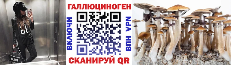 ссылка на мегу как войти Каменка Галлюциногенные грибы Psilocybine cubensis